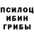 Галлюциногенные грибы ЛСД Sabrina. Toniolo