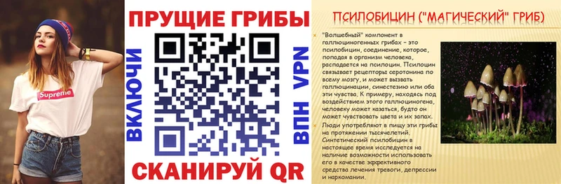 Псилоцибиновые грибы прущие грибы  Новочеркасск 