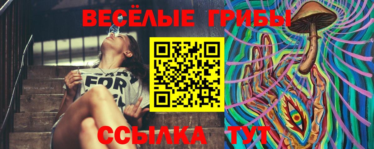 Галлюциногенные грибы Psilocybine cubensis  продажа наркотиков  Галлюциногенные грибы ЛСД  Новочеркасск  Вход с VPN 